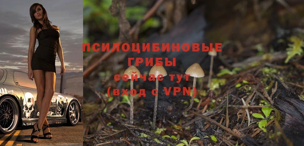 прущая мука Киреевск
